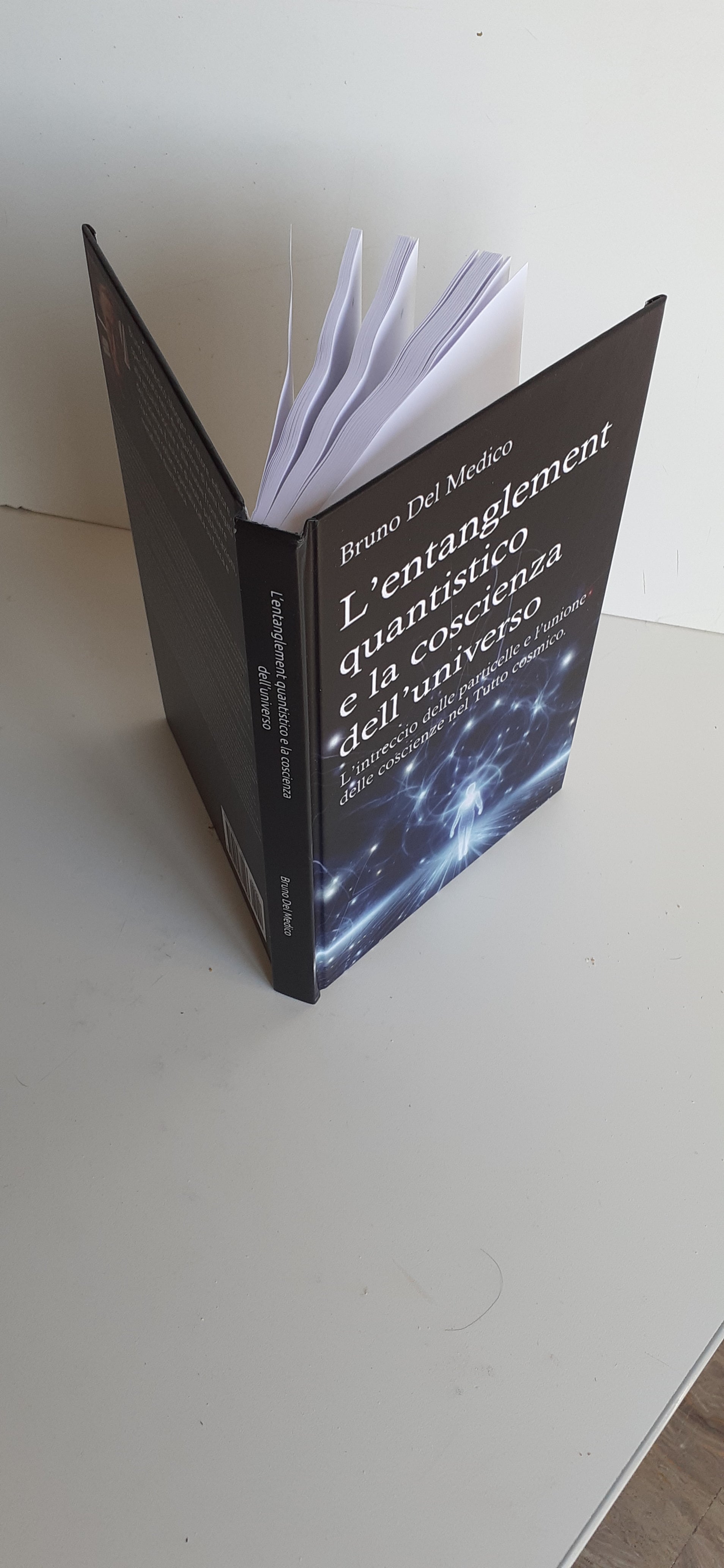 L’entanglement quantistico e la coscienza dell’universo (rilegatura cartonata)