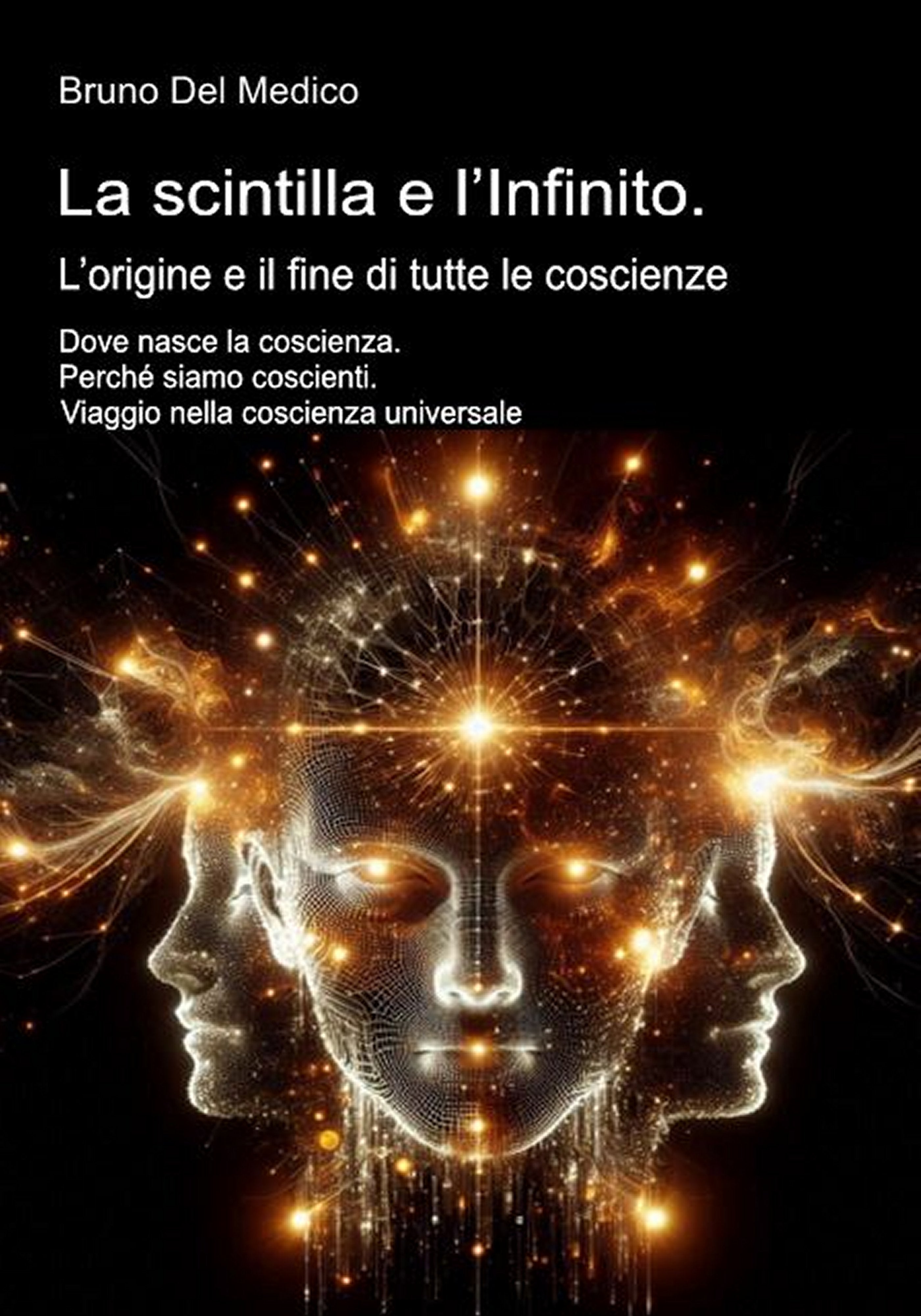La scintilla e l’Infinito. L’origine e il fine di tutte le coscienze-(Rilegatura cartonata)