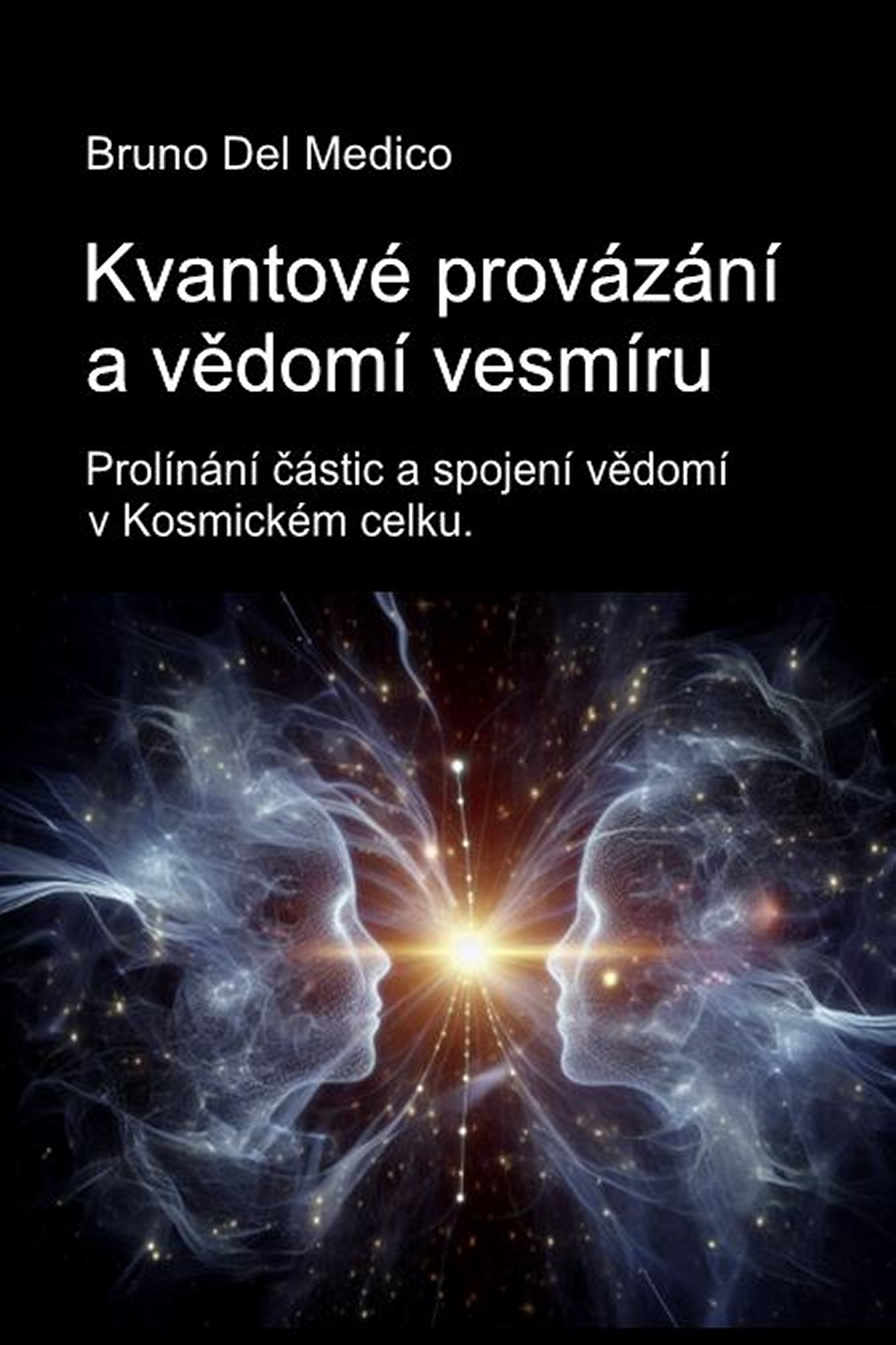 Kvantové provázání a vědomí vesmíru (cze-84)