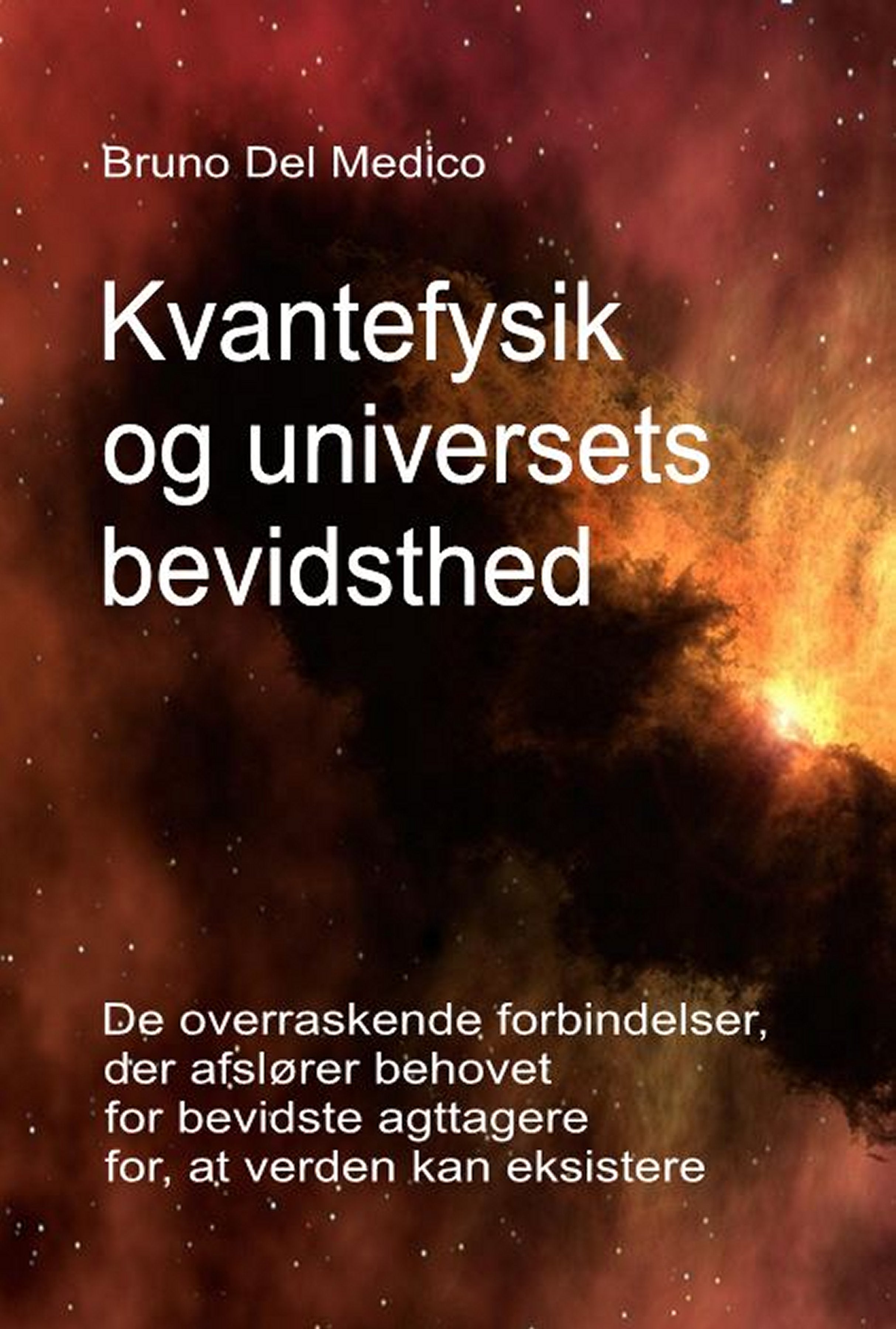 Kvantefysik og universets bevidsthed  (dan-91)