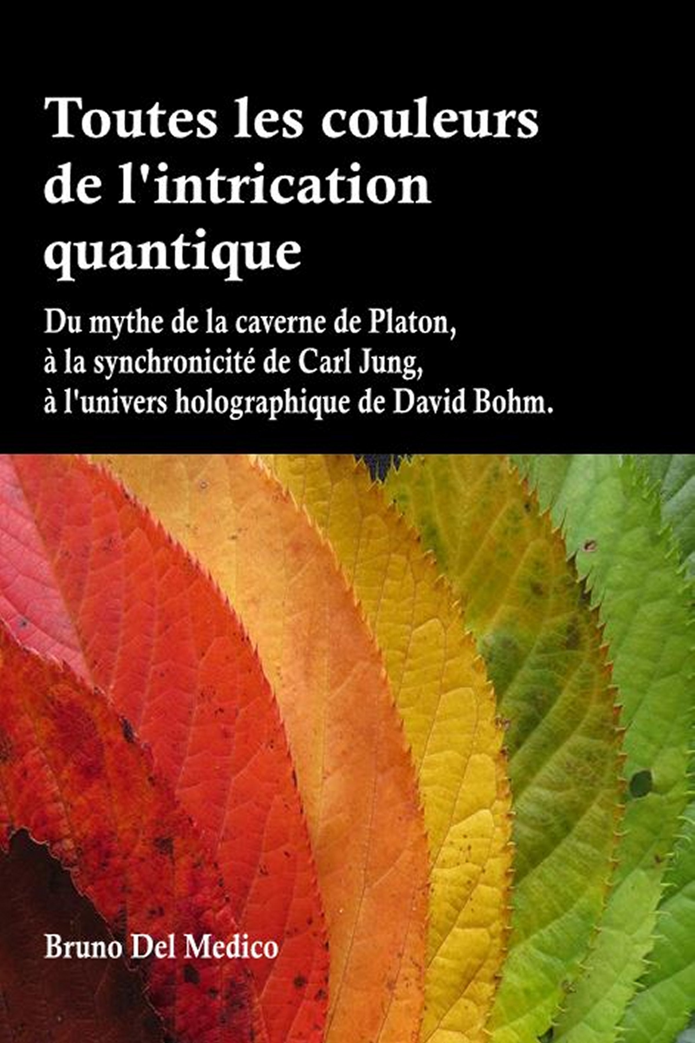 Toutes les couleurs de l'intrication quantique - (ebook)
