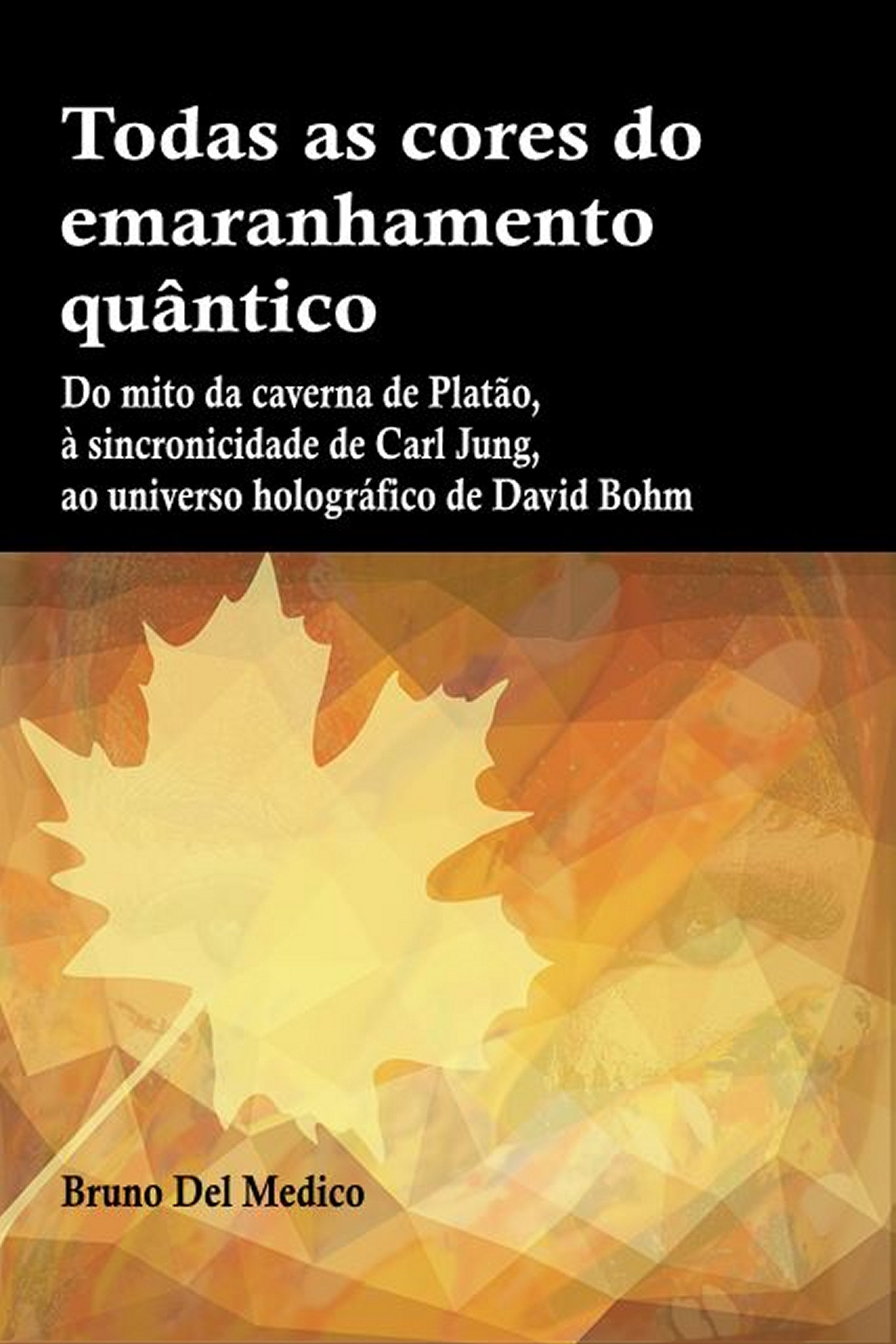 Todas as cores do emaranhamento quântico - (ebook)