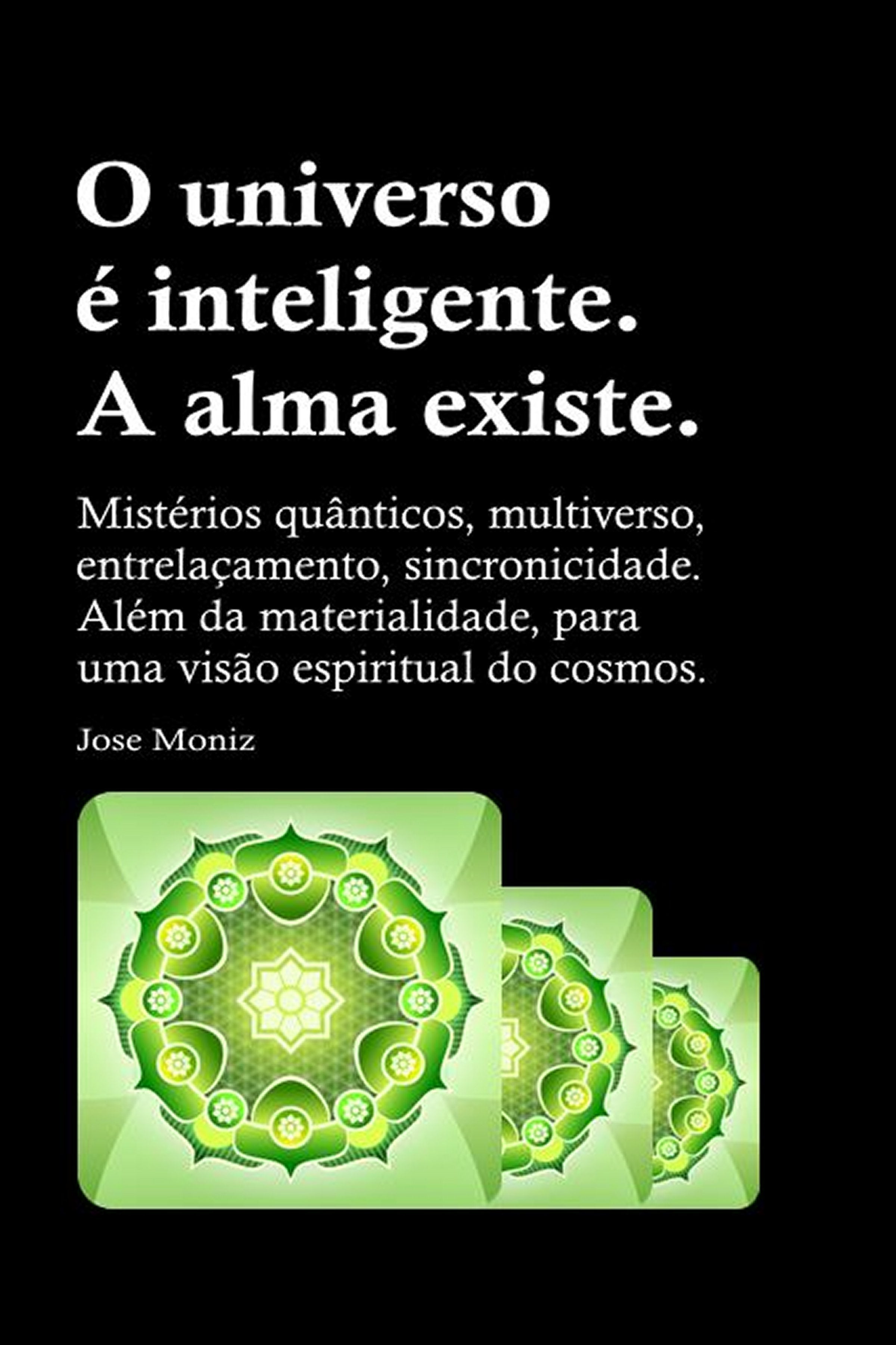 O universo é inteligente. A alma existe - (ebook)
