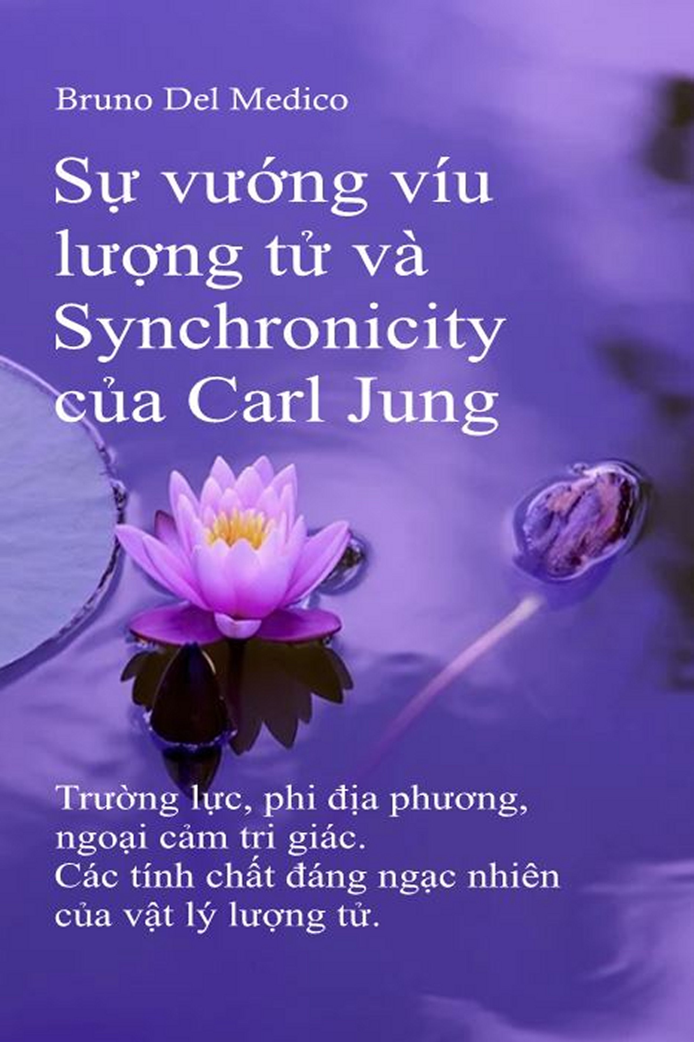 Sự vướng víu lượng tử và Synchronicity của Carl Jung.  (vie-99)