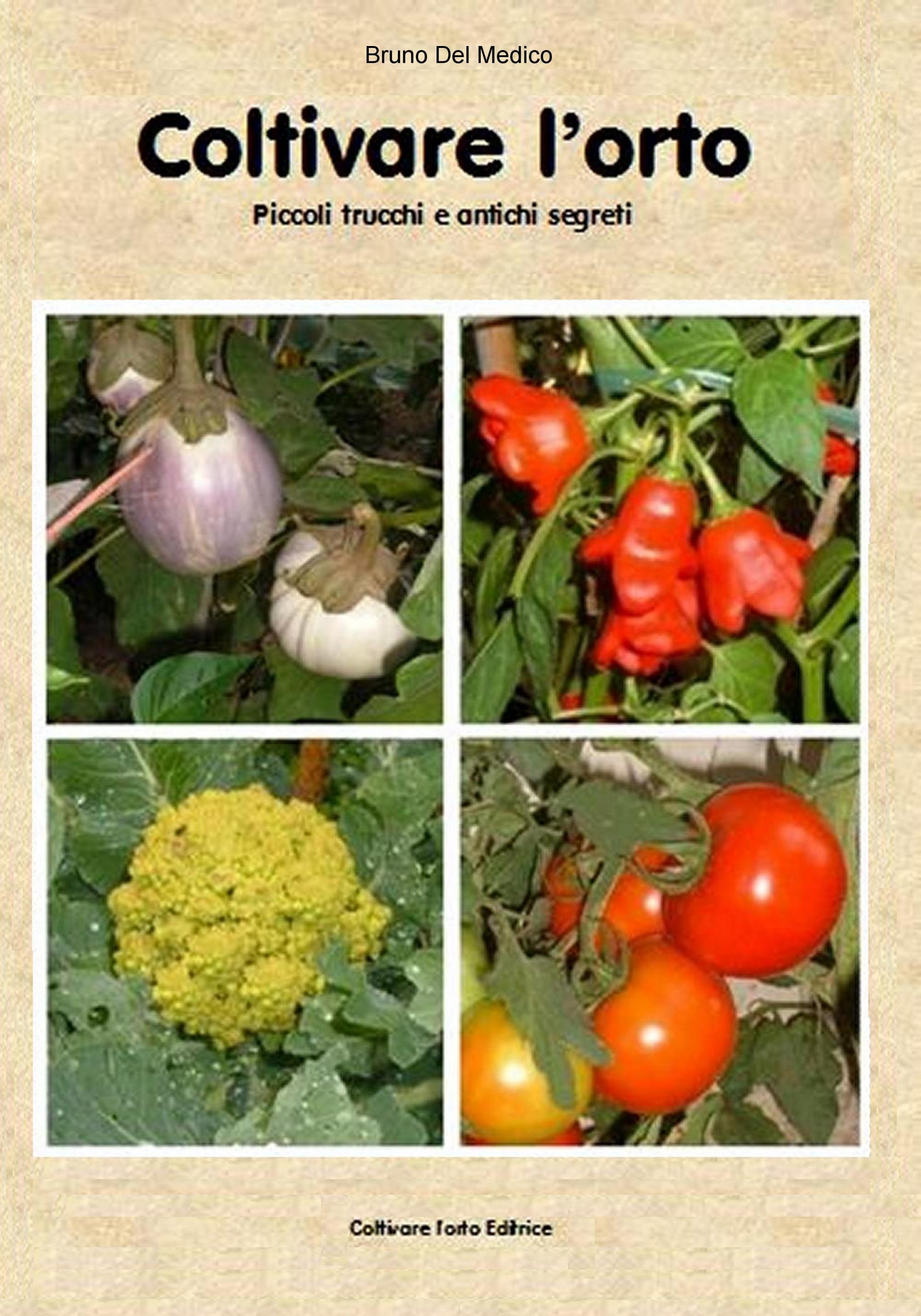 Coltivare l’orto. Piccoli trucchi e antichi segreti.