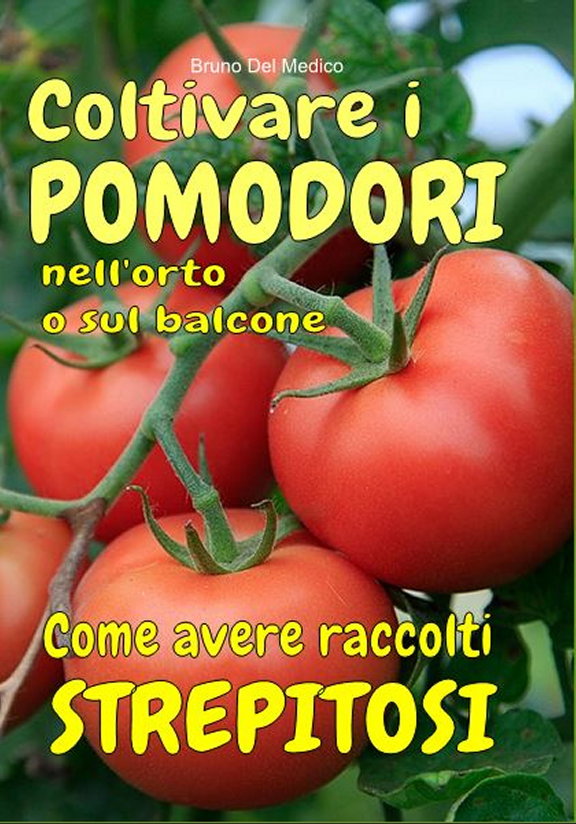 Coltivare i pomodori nell’orto. Come avere raccolti strepitosi.
