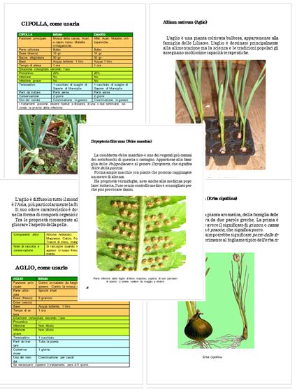 Macerati, infusi, decotti. Preparati biodinamici per la salute del giardino e dell’orto. Combattere parassiti e malattie.