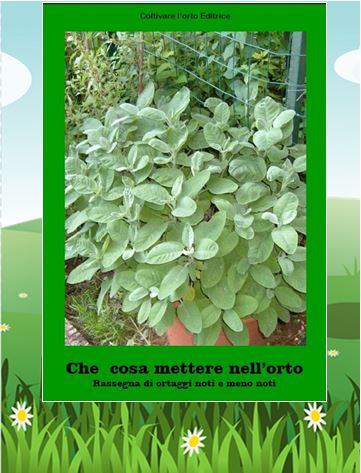 Collezione "Coltivare l'orto". 4 volumi (+1)  in una offerta eccezionale