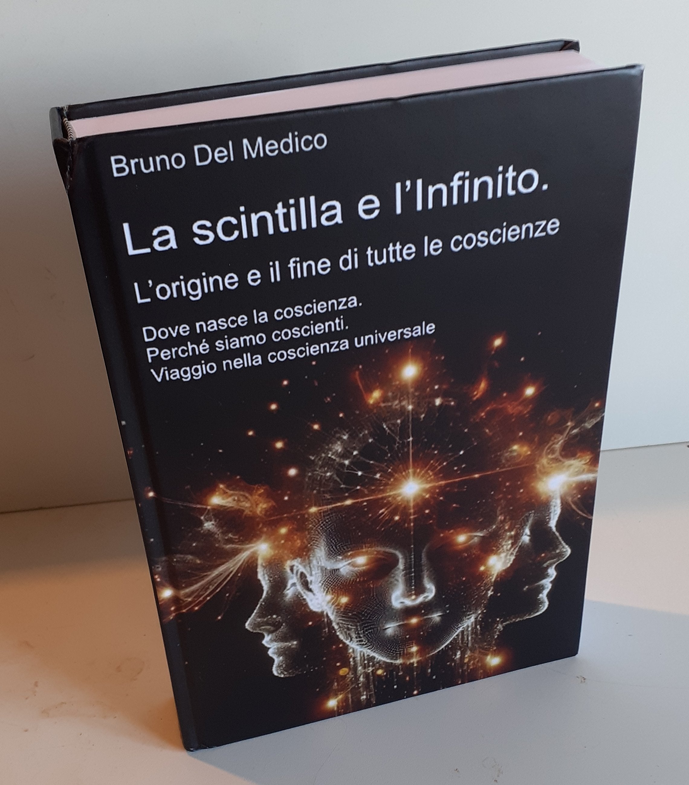 La scintilla e l’Infinito. L’origine e il fine di tutte le coscienze-(Rilegatura cartonata)