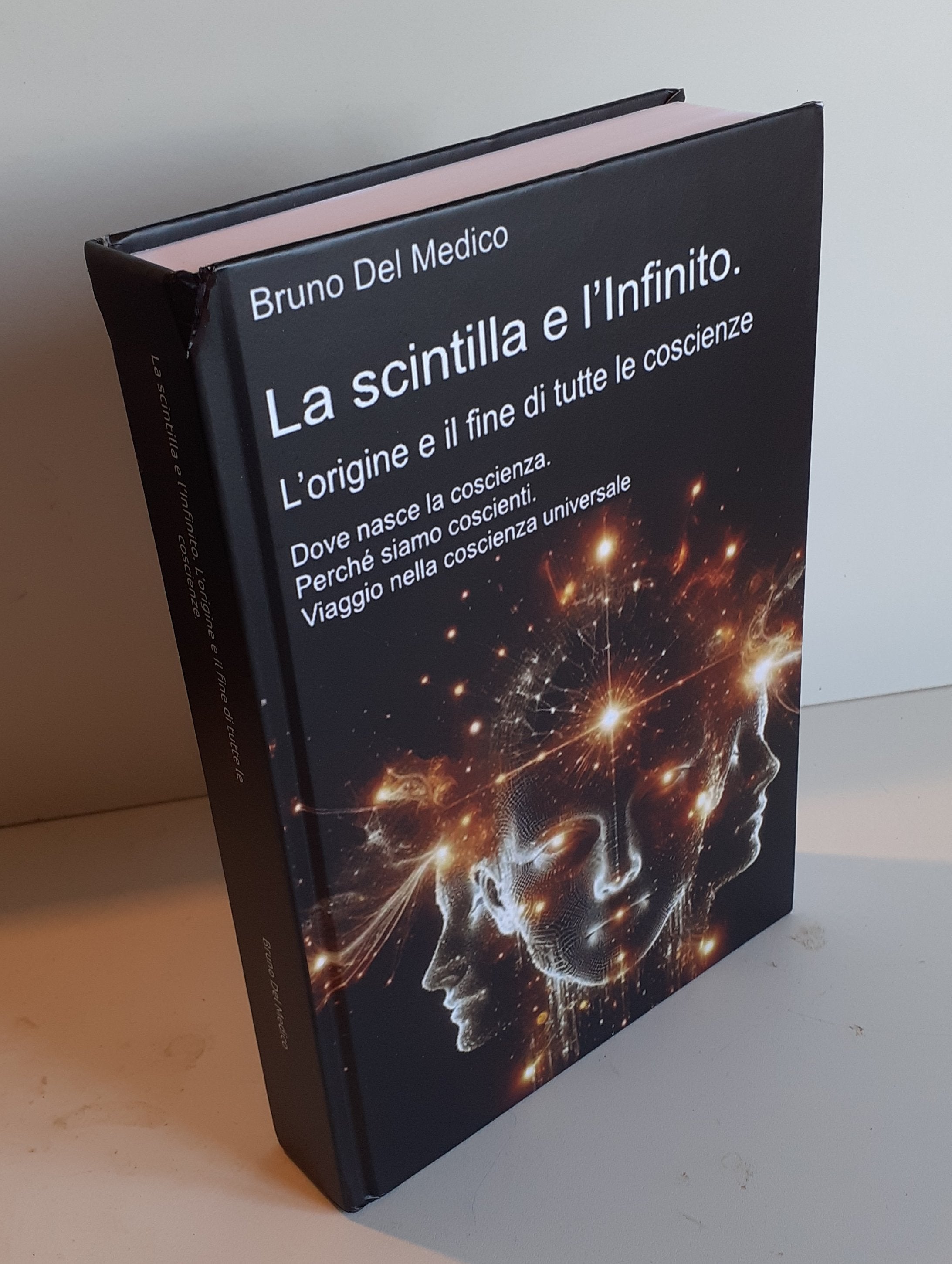 La scintilla e l’Infinito. L’origine e il fine di tutte le coscienze-(Rilegatura cartonata)