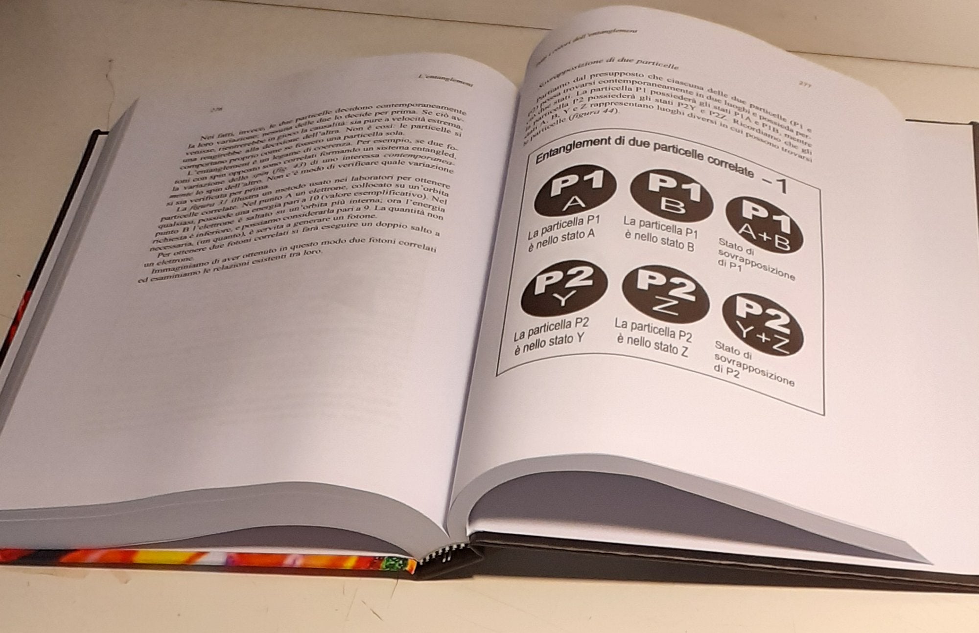 Tutti i colori dell'entanglement (rllegatura cartonata)