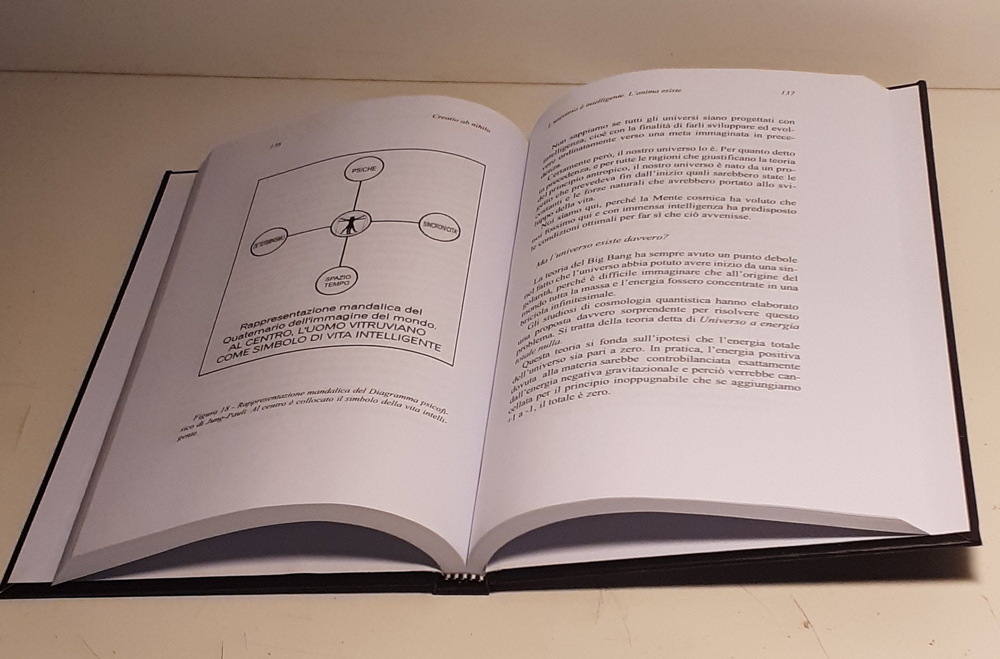 L’universo è intelligente. L’anima esiste (rilegatura cartonata)