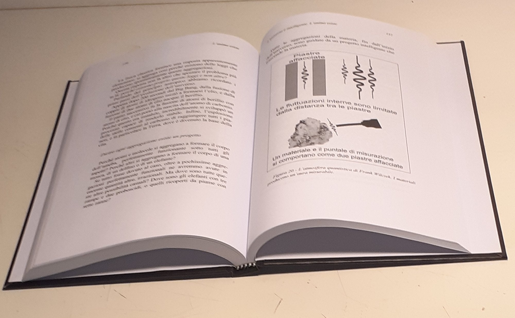 L’universo è intelligente. L’anima esiste (rilegatura cartonata)