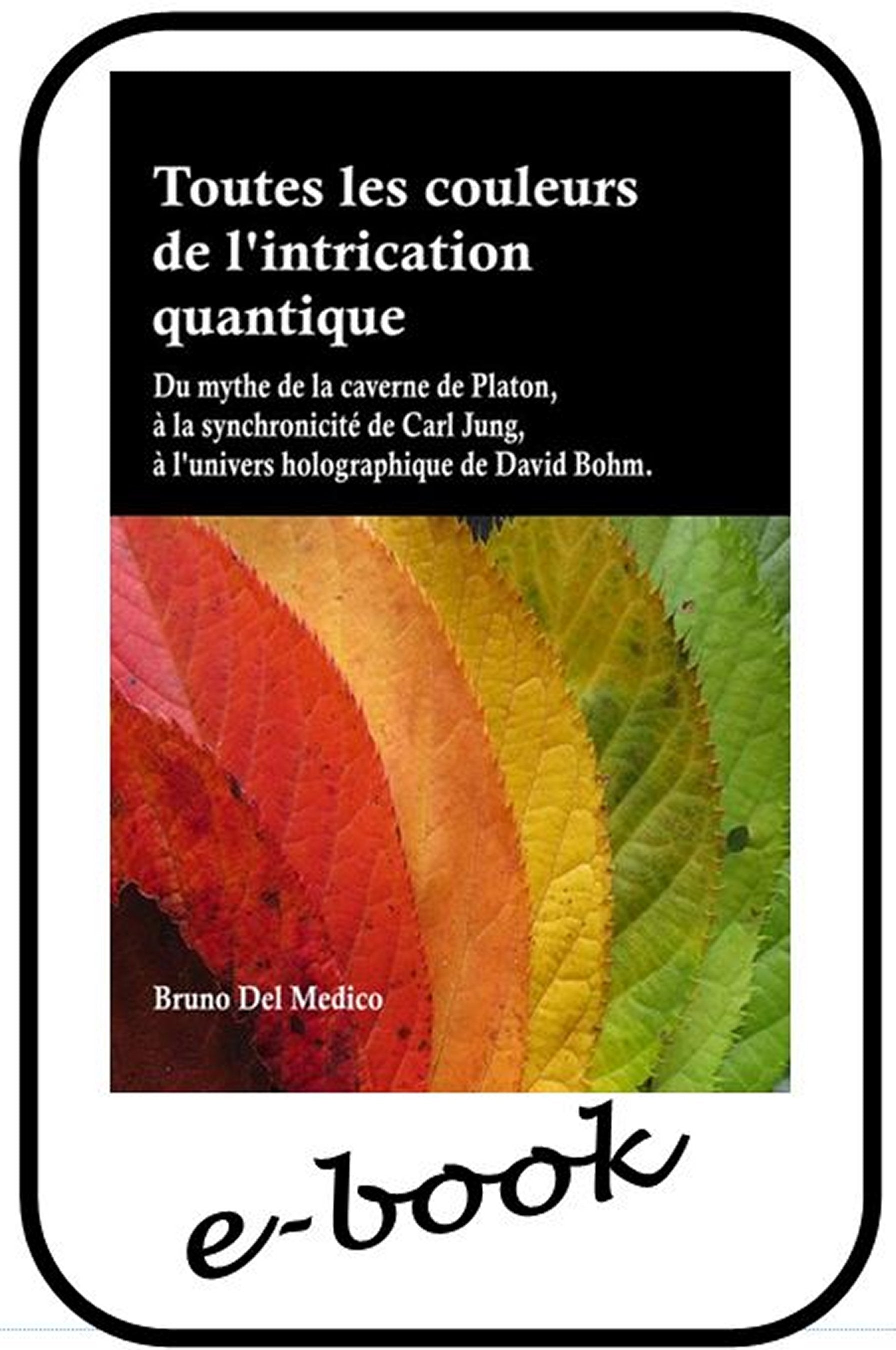 Toutes les couleurs de l'intrication quantique - (ebook)