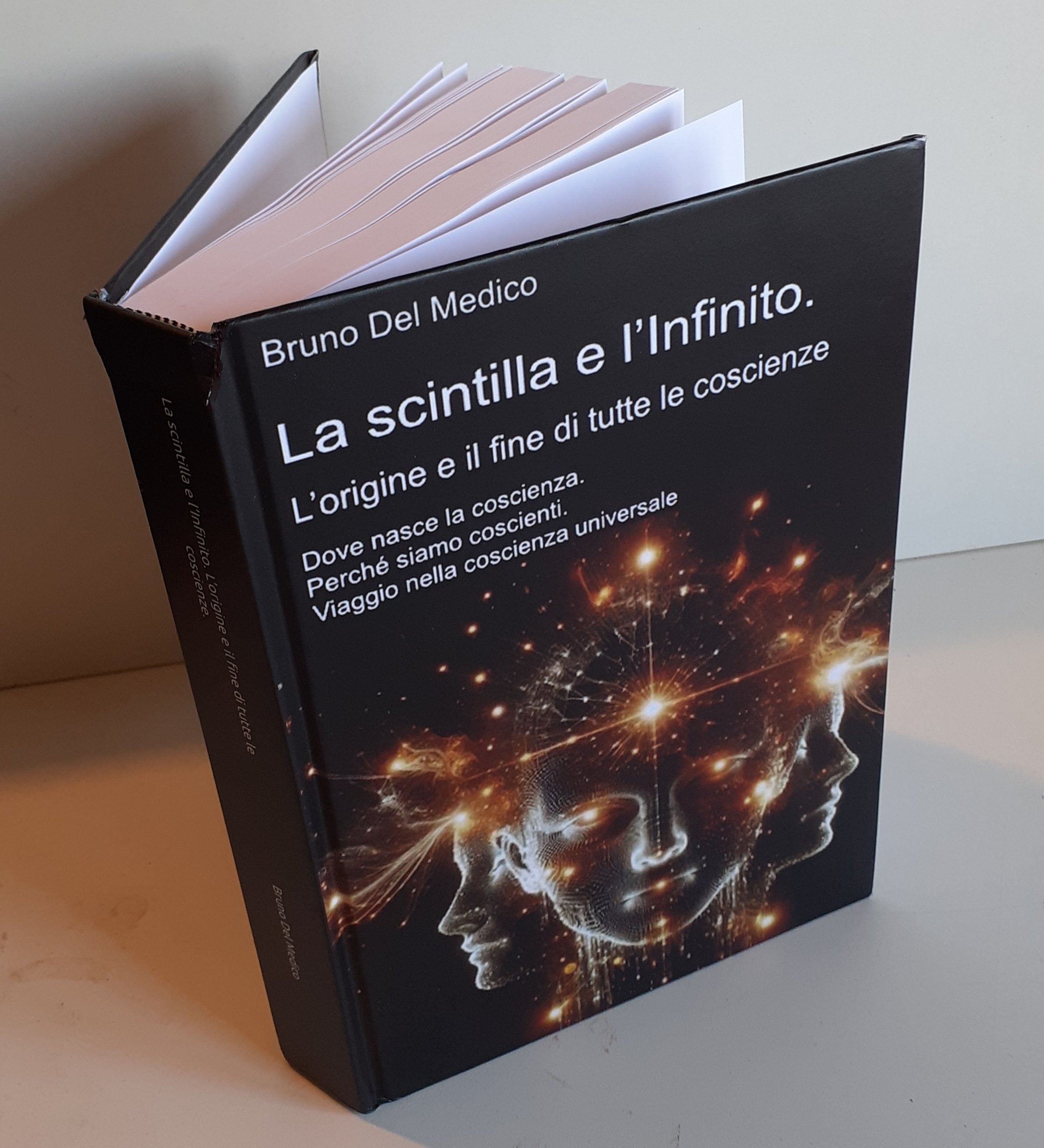 La scintilla e l’Infinito. L’origine e il fine di tutte le coscienze-(Rilegatura cartonata)